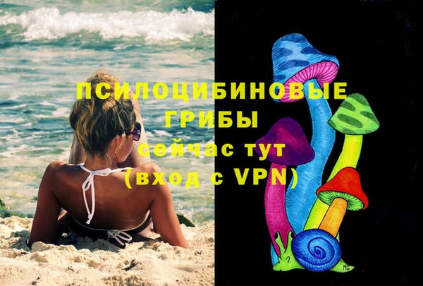 синтетический гашиш Алексин