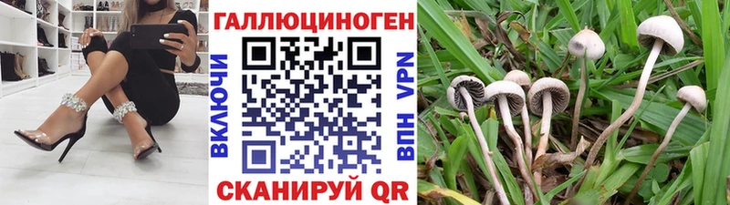 Псилоцибиновые грибы прущие грибы  хочу   Заволжск 